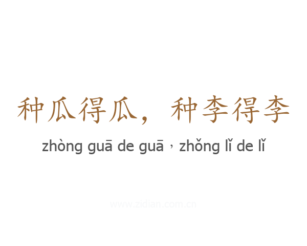 种瓜得瓜，种李得李