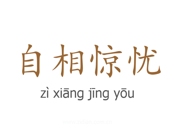 自相惊忧