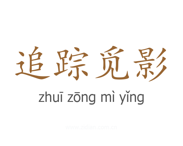 追踪觅影