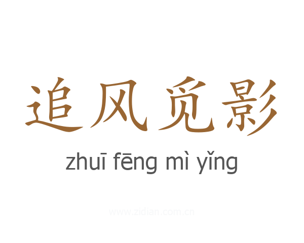 追风觅影