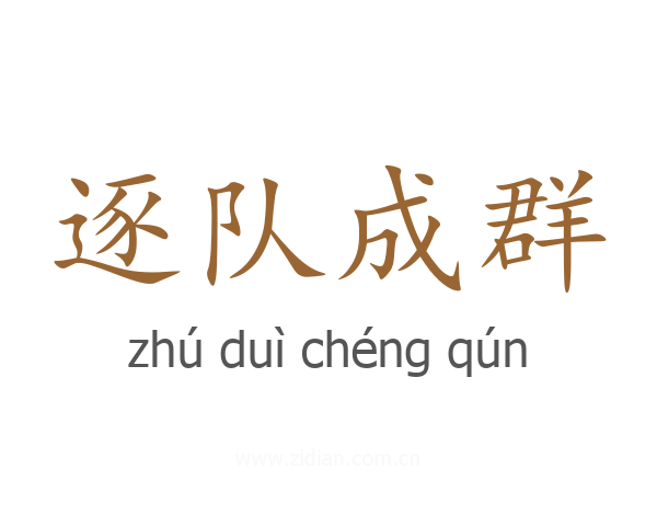 逐队成群