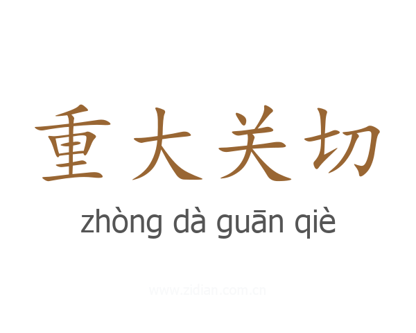 重大关切
