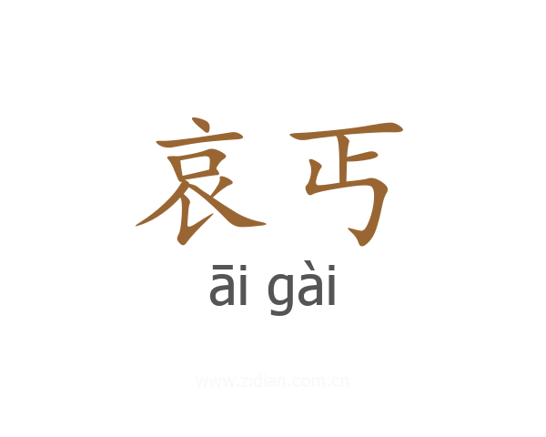 哀丐