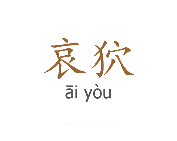 哀狖