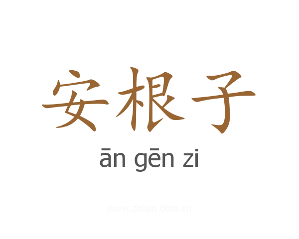 安根子