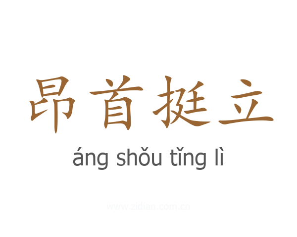 昂首挺立