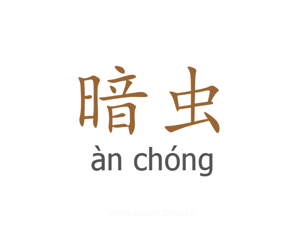 暗虫