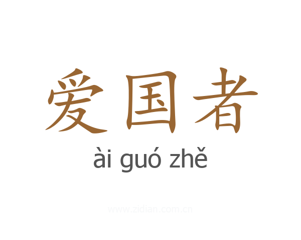 爱国者