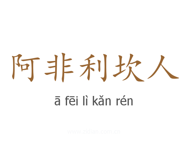 阿非利坎人