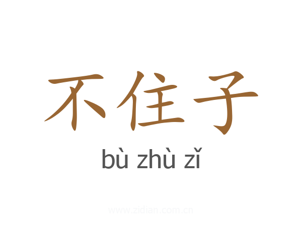 不住子