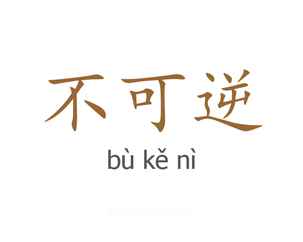 不可逆