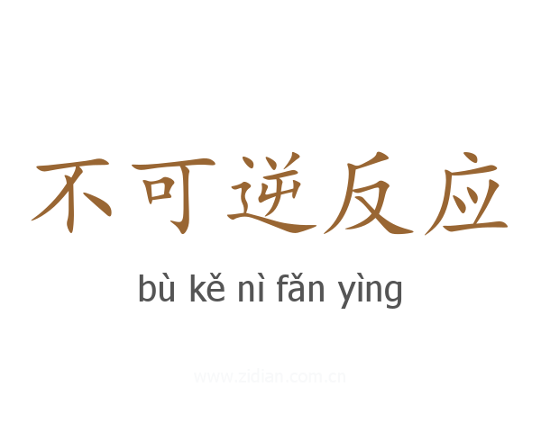 不可逆反应