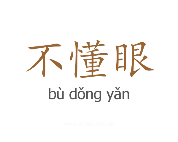 不懂眼