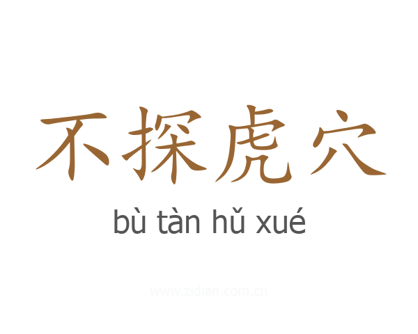 不探虎穴