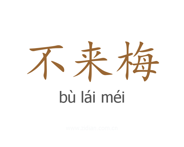 不来梅