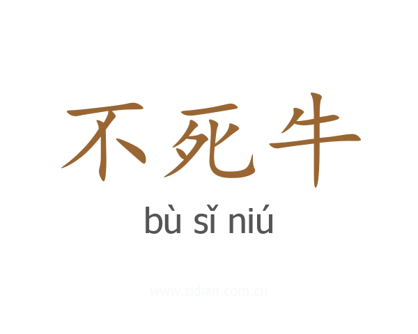 不死牛