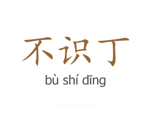 不识丁