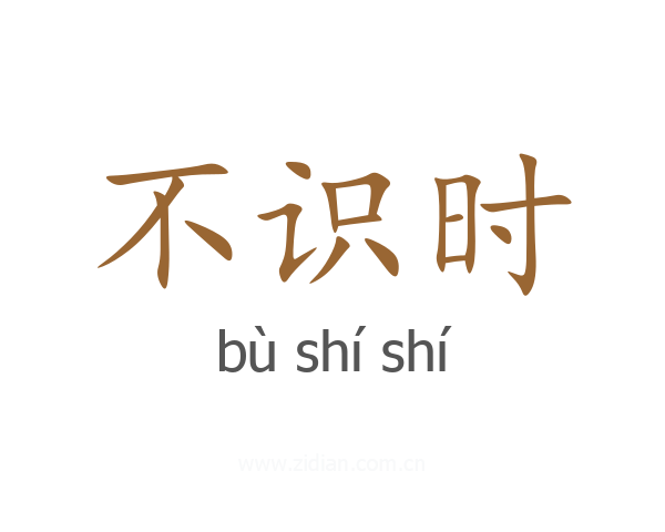不识时