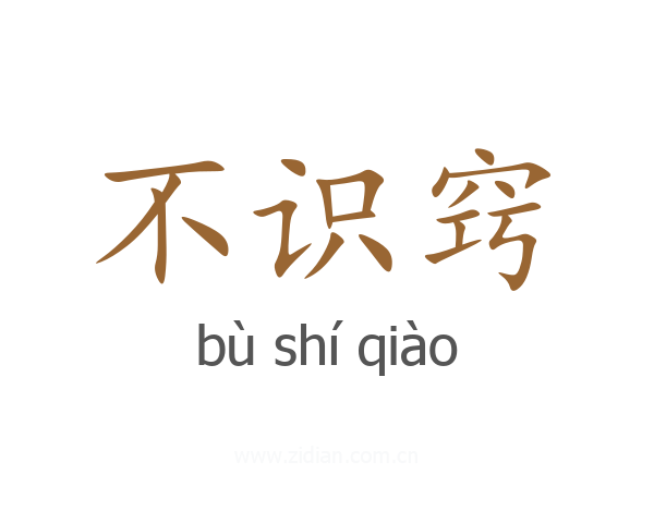不识窍