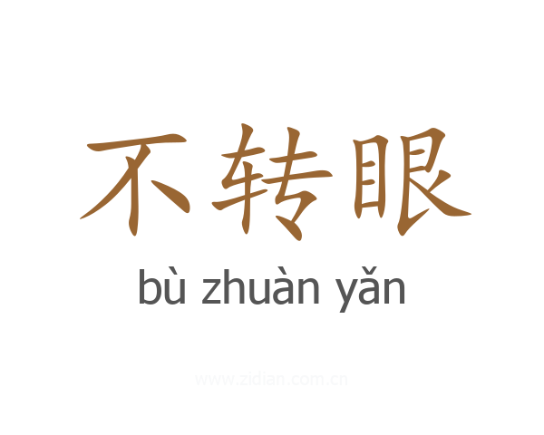 不转眼