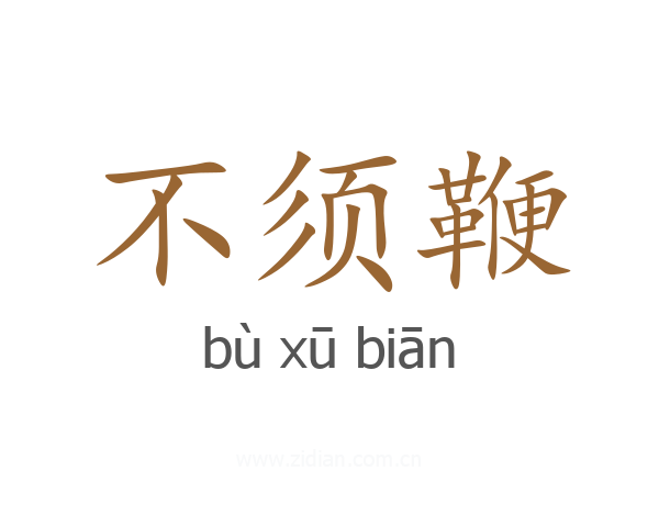 不须鞭
