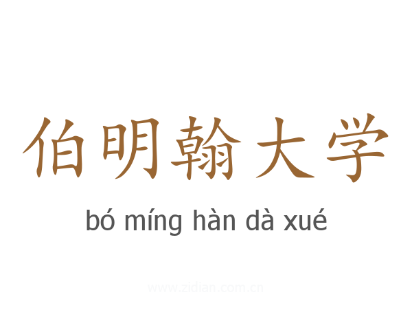 伯明翰大学