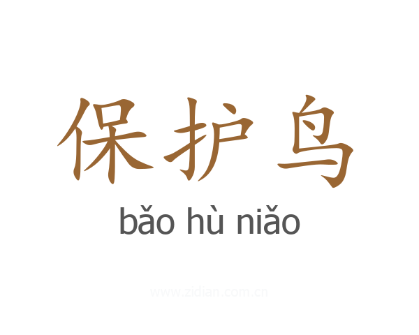 保护鸟