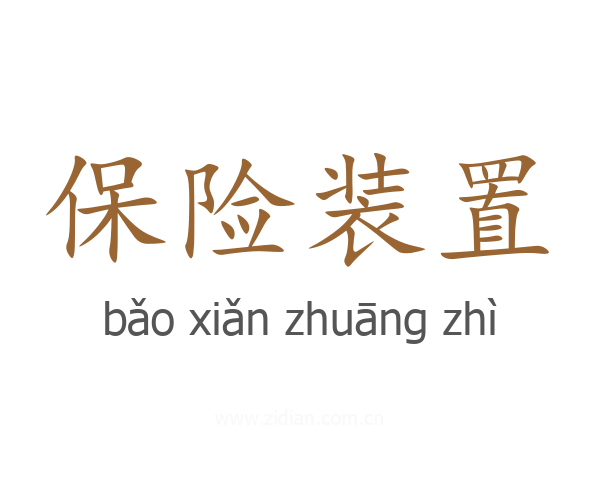 保险装置