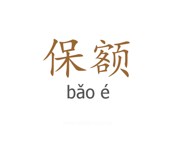 保额