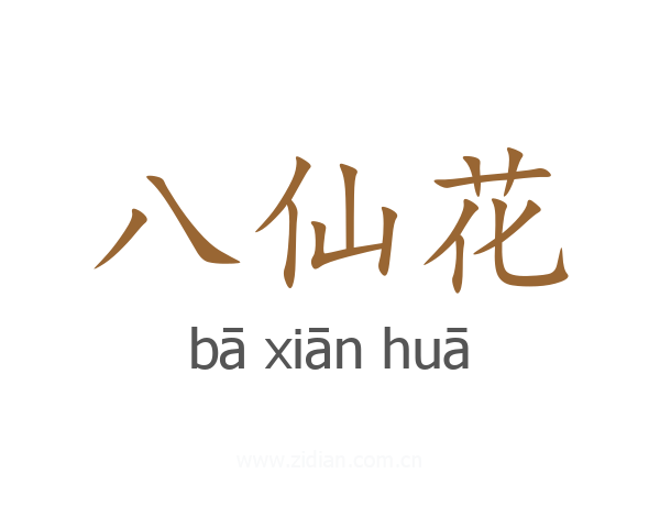 八仙花