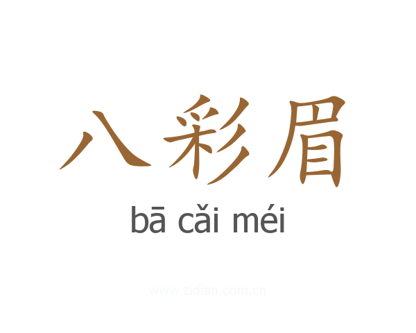八彩眉