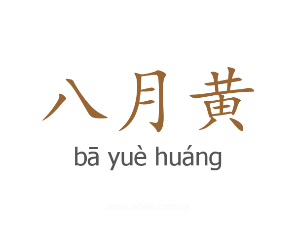 八月黄