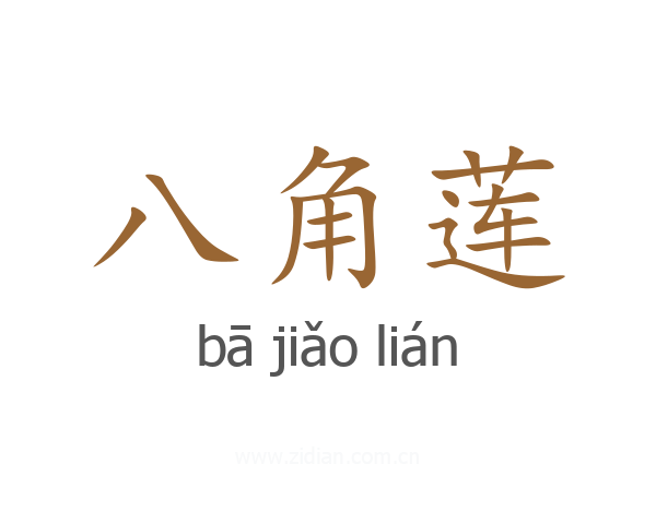 八角莲