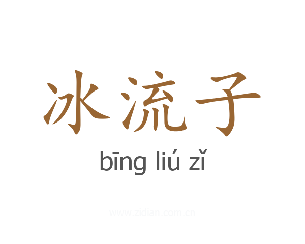 冰流子