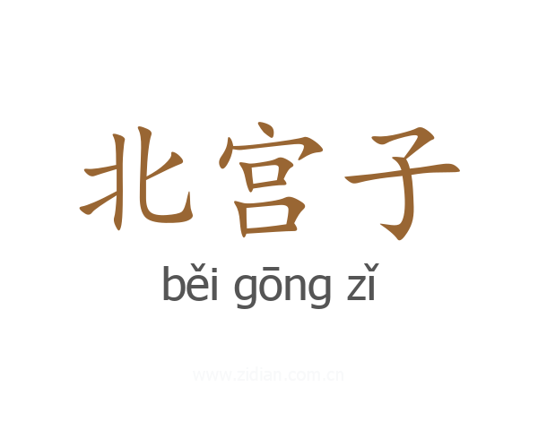 北宫子
