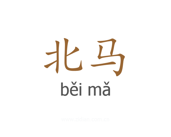 北马