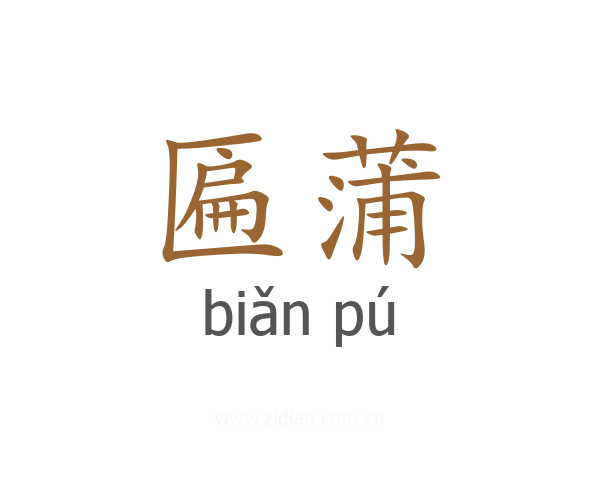 匾蒲