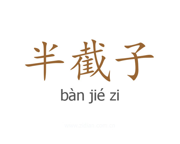 半截子