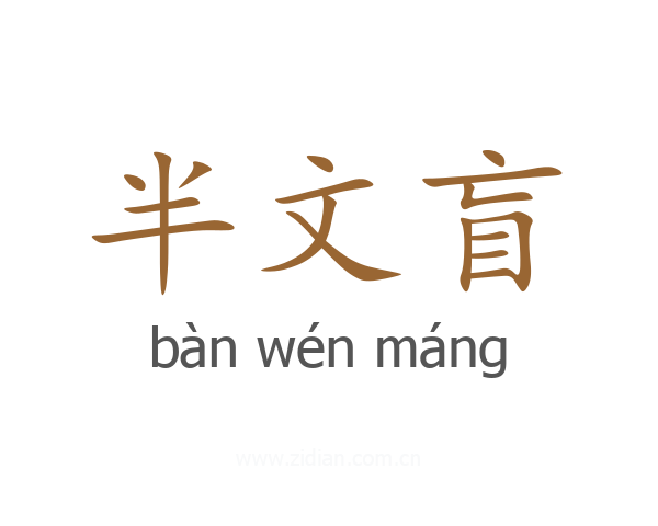 半文盲