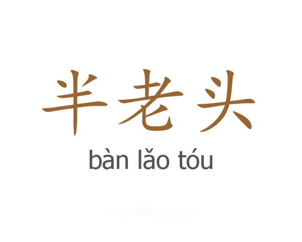 半老头