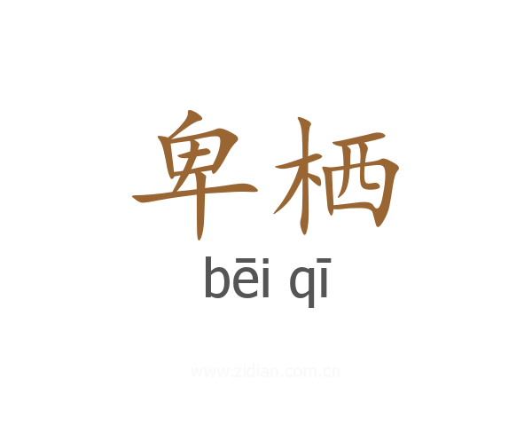卑栖