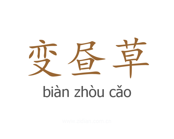 变昼草