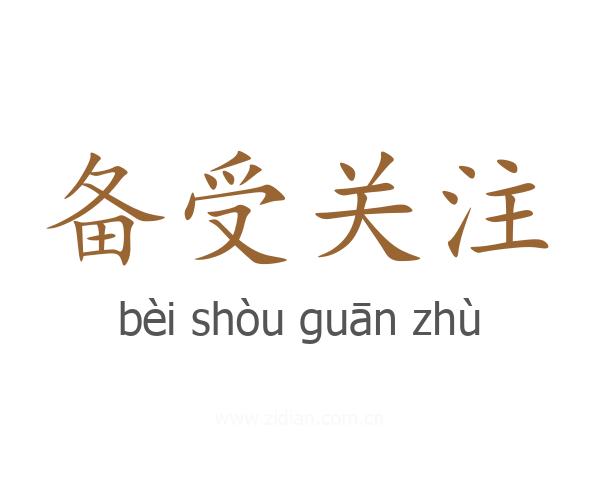 备受关注