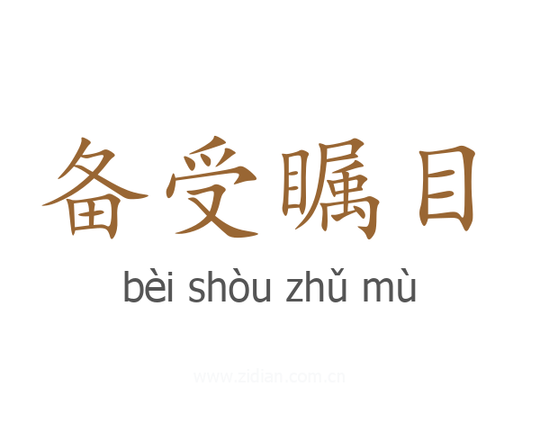 备受瞩目