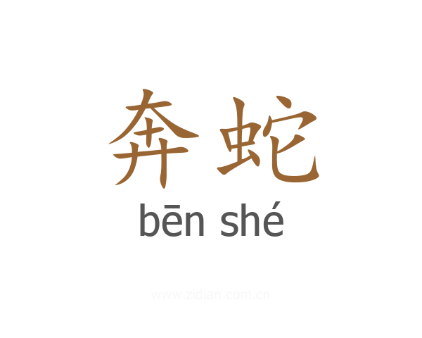 奔蛇