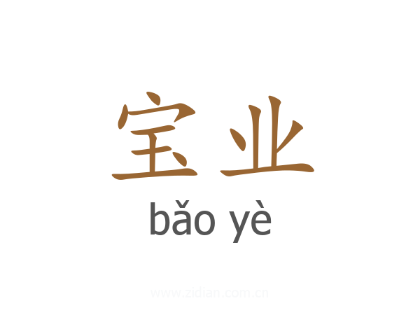 宝业