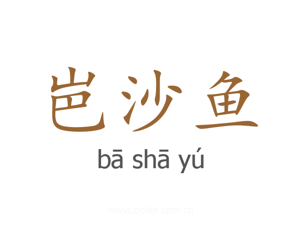 岜沙鱼