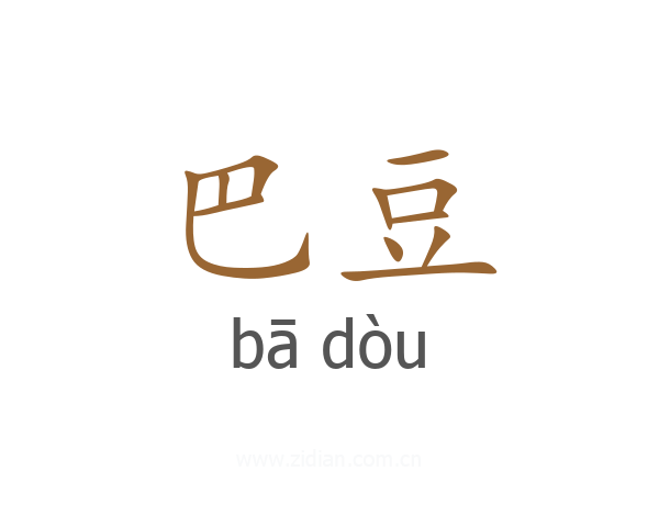 巴豆
