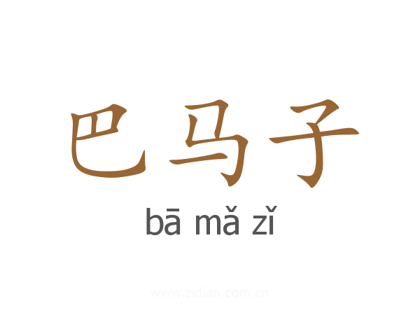 巴马子