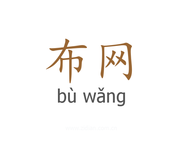 布网